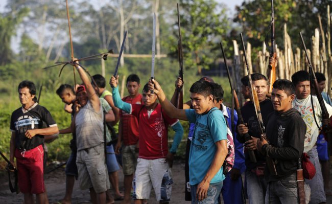 Как воины джунглей Амазонки борются с черными лесорубами