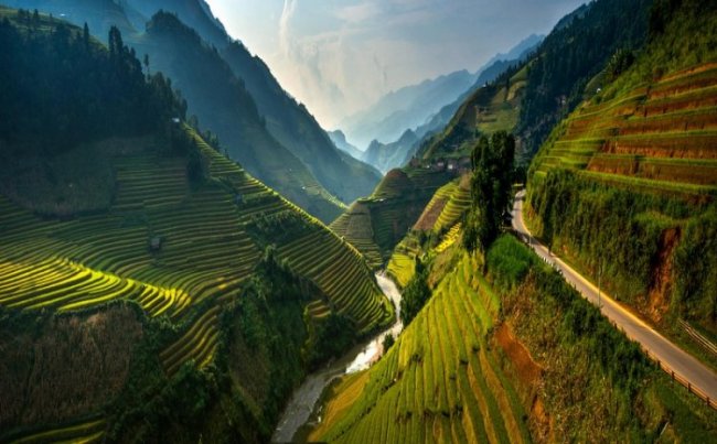 Живописные рисовые террасы Вьетнама