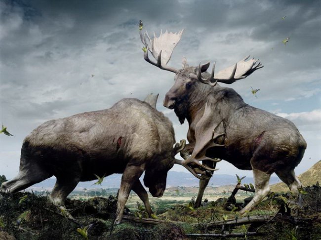 Фотограф Simen Johan