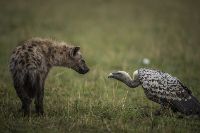 Конкурс фотографий National Geographic Traveler 2015