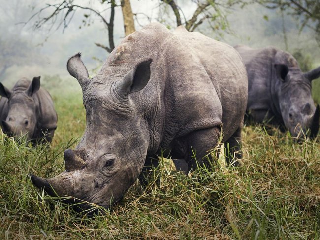 National Geographic: лучшие фотографии июля