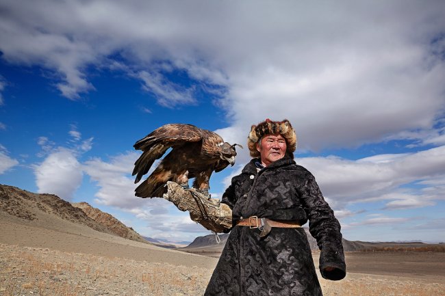 Орлиная охота в Монголии