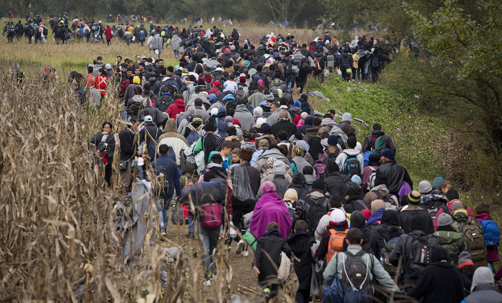 Мигранты стройною толпой… Часть 2