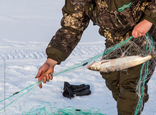 Борьба с браконьерами на Байкале