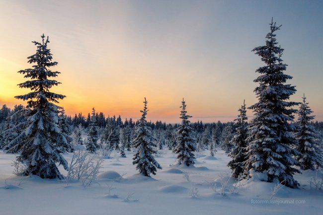 Финляндия. Снежные ландшафты