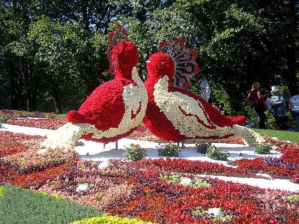 Потрясающие скульптуры из цветов (17 фото)