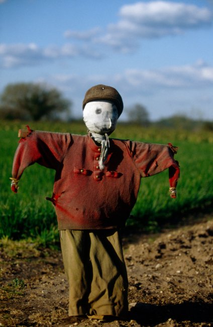 Пугала: страшные фотографии из сельской местности Англии