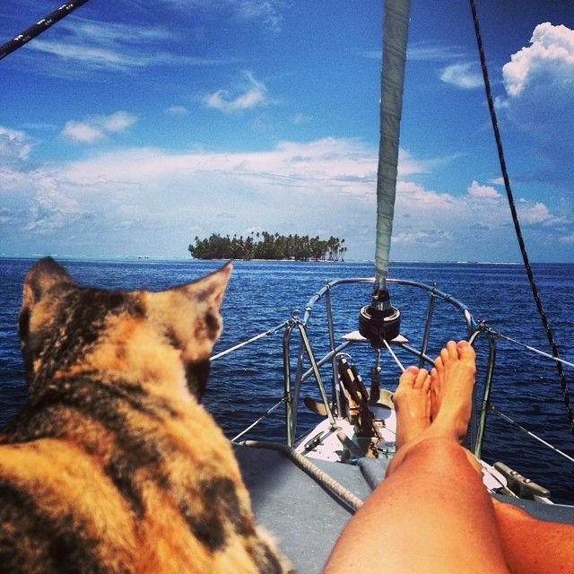 Девушка вместе с кошкой совершают кругосветное путешествие на яхте (12 фото)