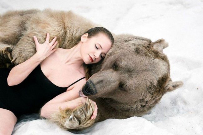 Сказочная фотосессия медведя Степана