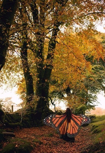 Волшебные платки в форме крыльев бабочек