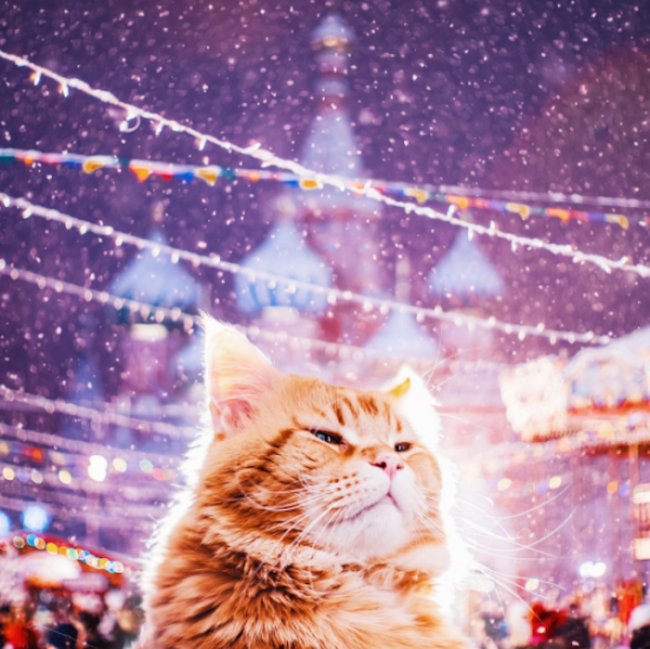 Сказочная Москва: 12 магическо-зимних фотографий Кристины Макеевой