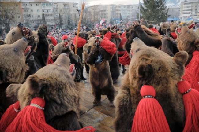 Ритуальные танцы медведей в Румынии