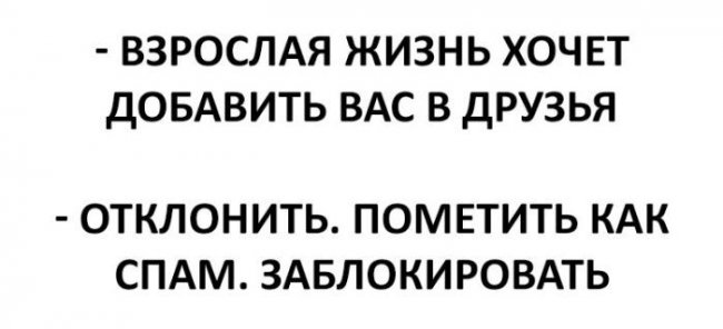 Подборка прикольных фото (104 фото)