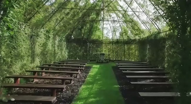 Церковь из живых деревьев