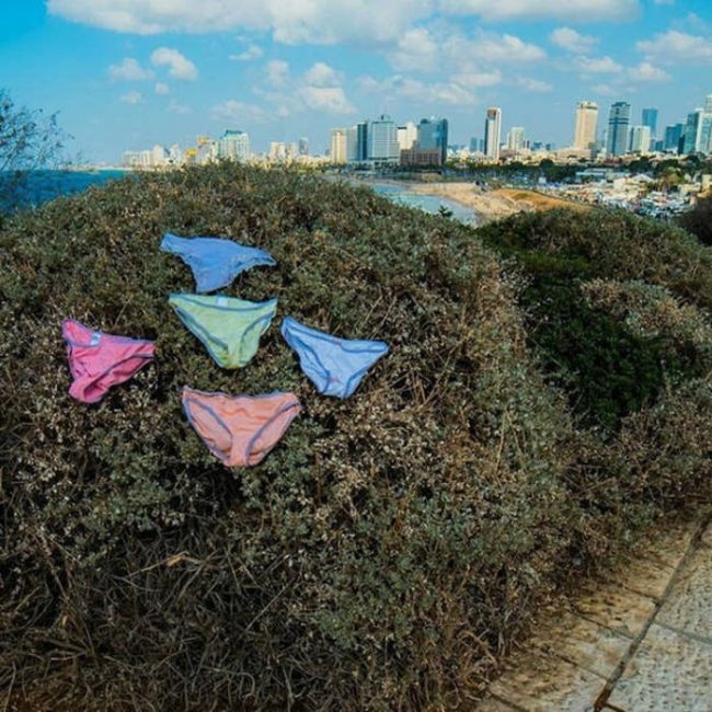 Странности, которые ждут вас в Израиле (31 фото)