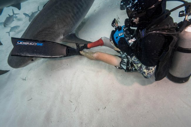 Подводная встреча с акулой
