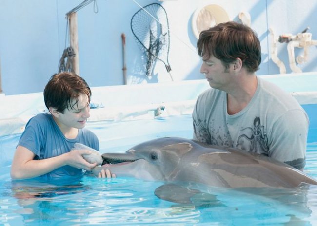 Подборка фильмов о дельфинах