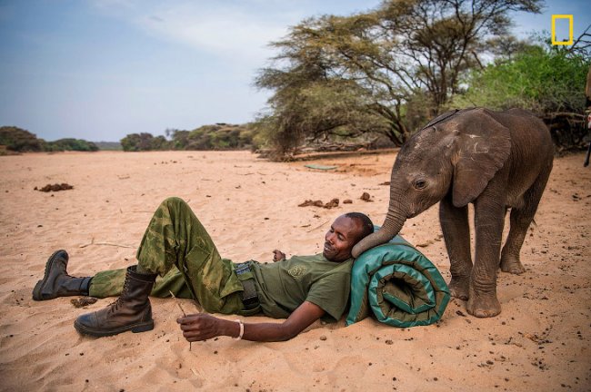 Слоновий приют в северной Кении
