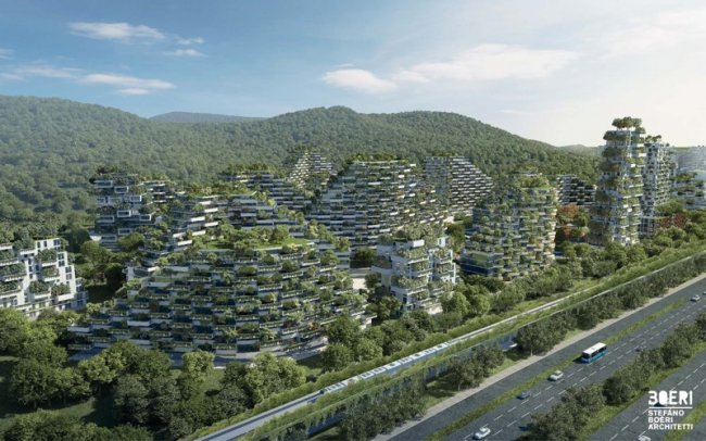 В Китае хотят создать зеленый город из 40 тысяч деревьев