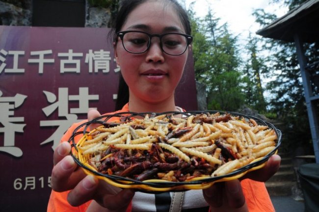 В Китае прошел конкурс по поеданию насекомых
