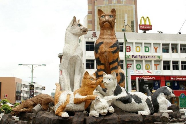 Кучинг: город кошек в Малайзии