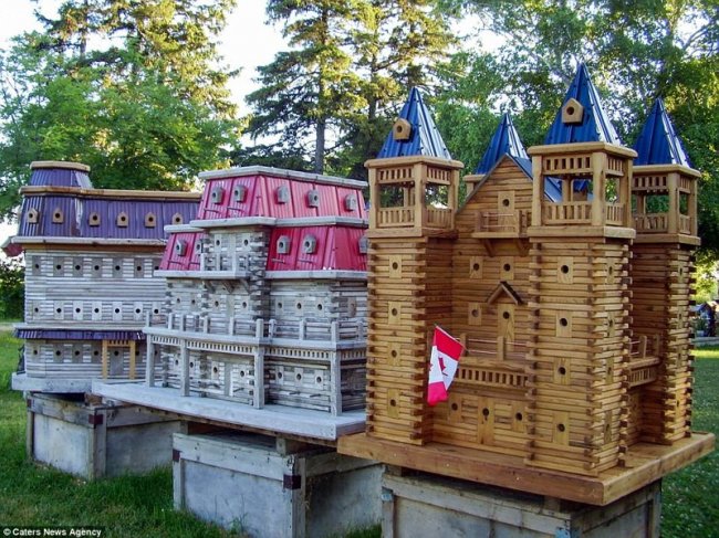 Удивительные дворцы для птиц от канадского плотника