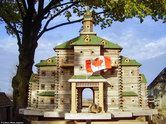 Удивительные дворцы для птиц от канадского плотника