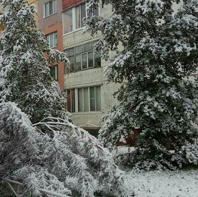 Летний снегопад в Якутии