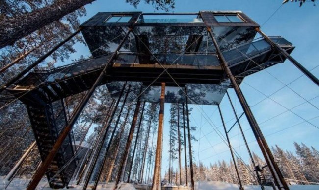 Отель на дереве в Швеции
