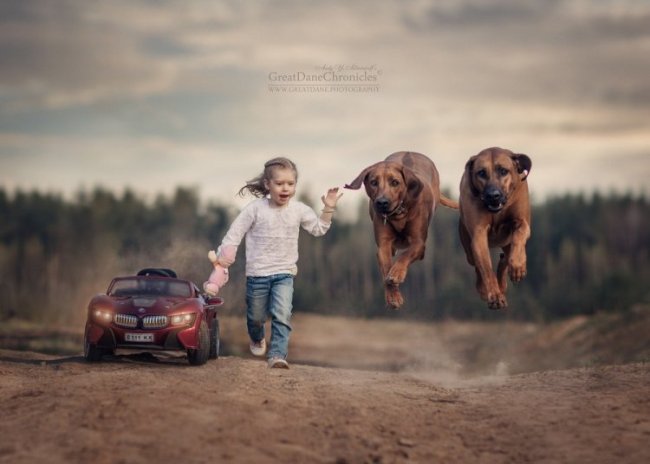 Очаровательные снимки детей и собак