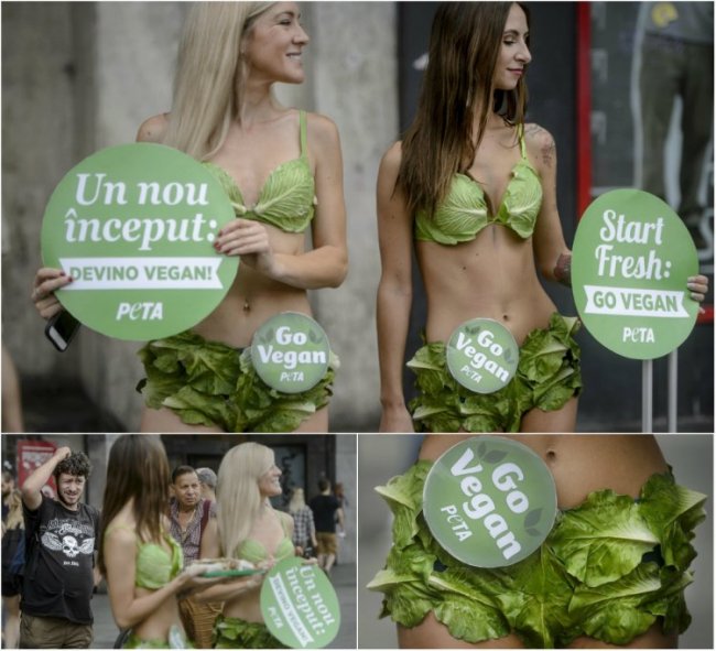 Пропаганда вегетарианства в Бухаресте