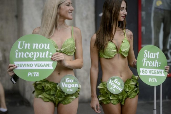 Пропаганда вегетарианства в Бухаресте