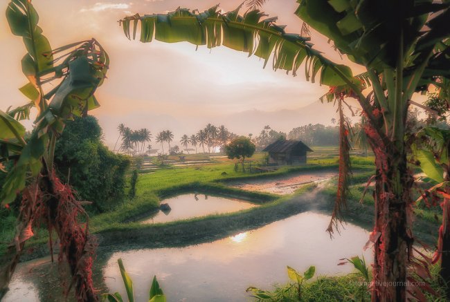 Индонезия. Рай на земле
