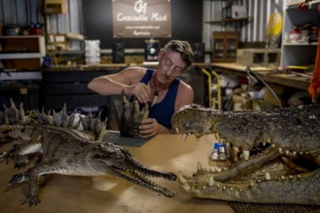 Быт австралийских охотников на крокодилов