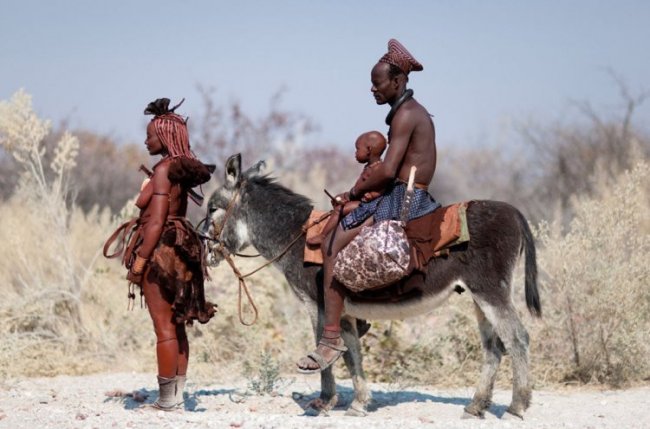 Последние кочевники Африки