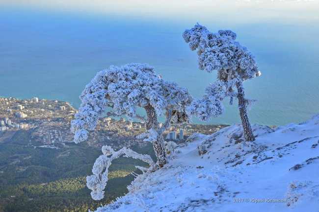 Крым: Ай-Петри в снегу