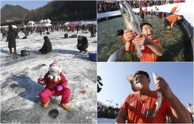 Конкурс по ловле форели в Южной Корее