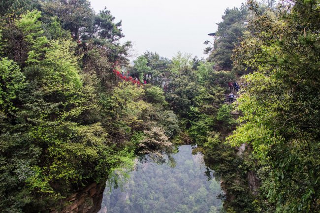 Путешествие в национальный лесной парк Чжанцзяцзе