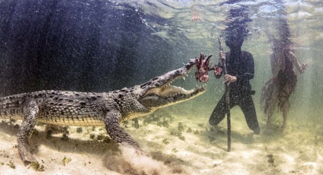 Модели в фотосессии с огромными крокодилами