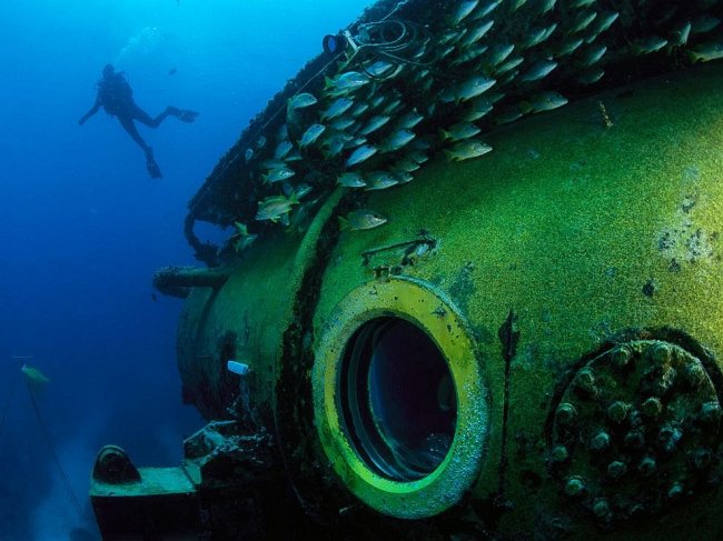 Жители подводного мира