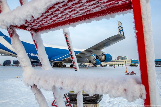 Новогодне самолеты в Домодедово