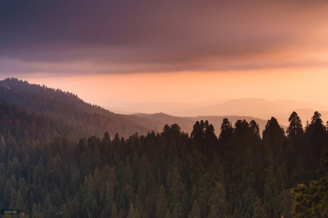 Национальный парк «Секвойя» в Калифорнии