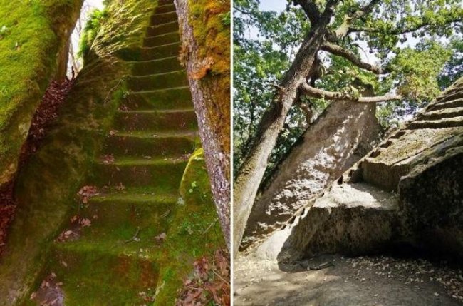 Таинственные лестницы, затерянные в лесных дебрях (6 фото)