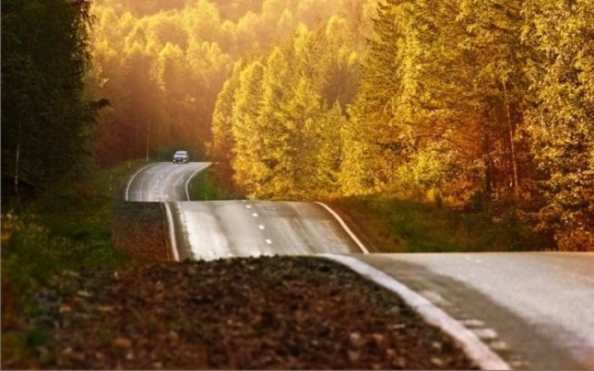 Самые красивые дороги России (10 фото)