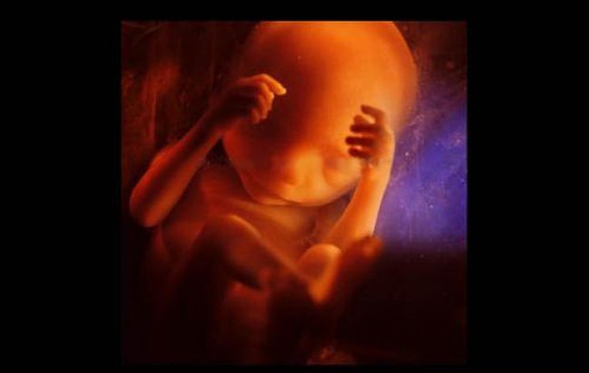 Уникальные снимки: рождение новой жизни