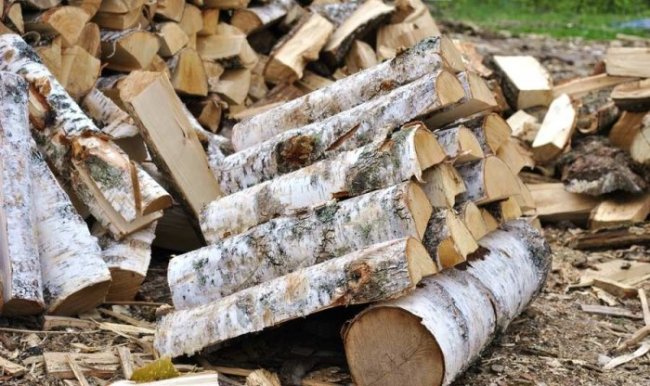 Как выбрать лучшие дрова (6 фото)
