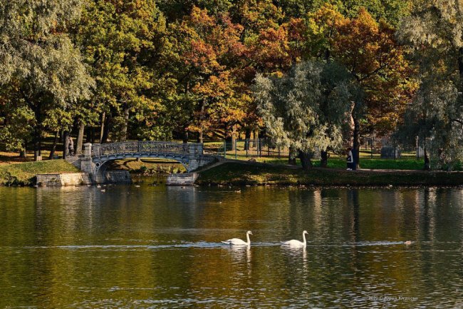 Гатчинский парк осенью