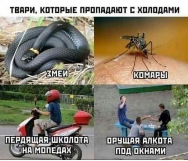 Бредзона