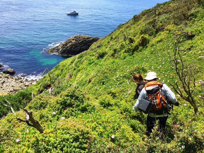 Национальный парк Тасмании предлагает любой паре дом и работу — смотреть за островом
