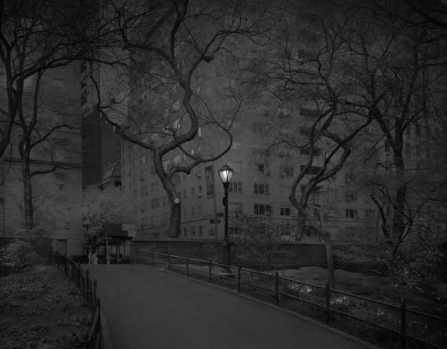 Центральный парк Нью-Йорка «В глубоком сне»